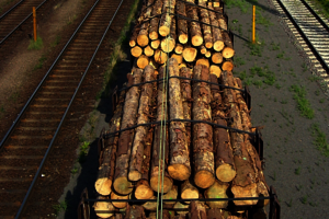 Holztransport auf der Schiene